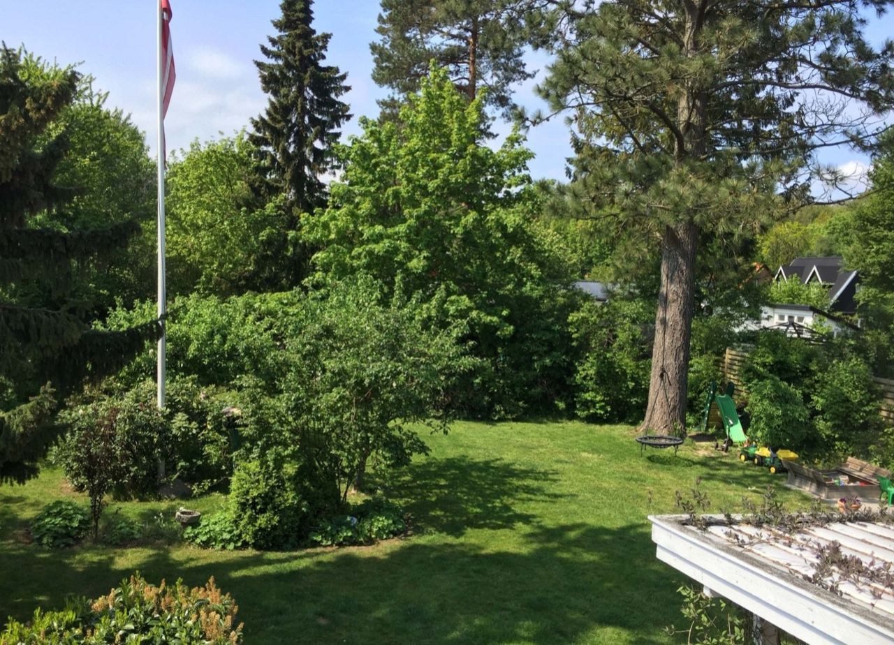 image 02